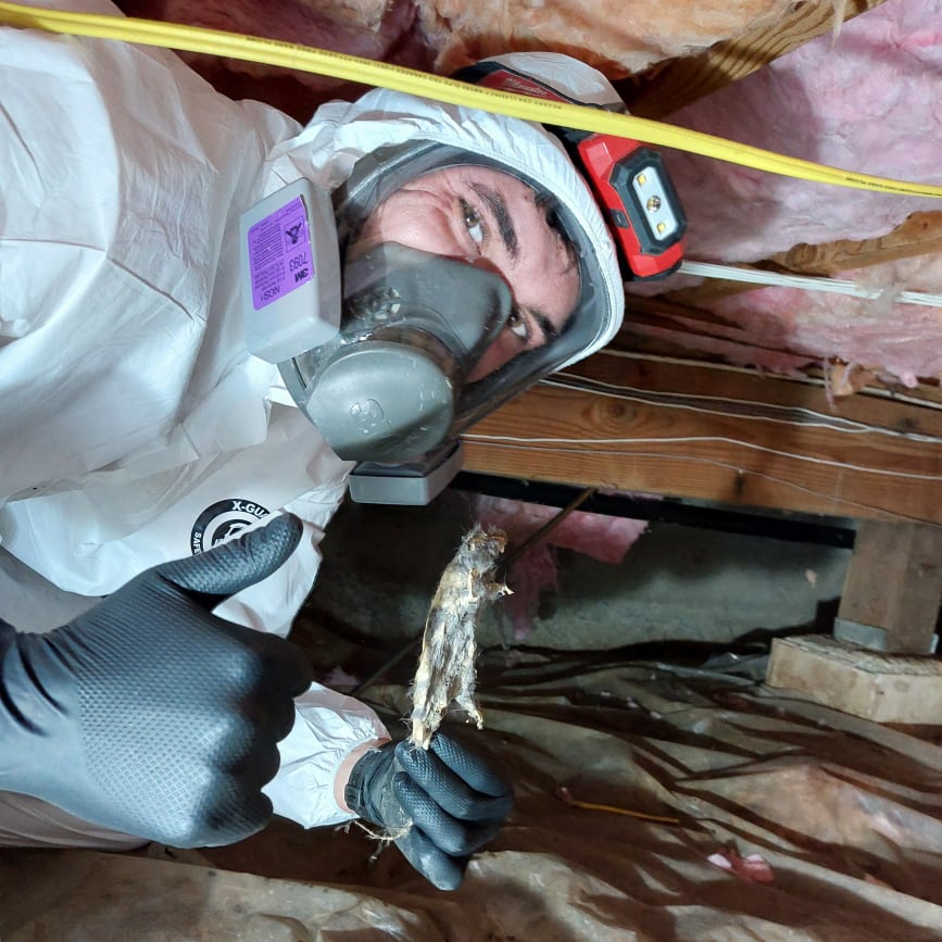 HAZMAT working removing roof panels that contain asbestos